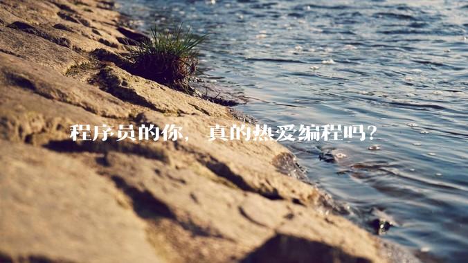 程序员的你，真的热爱编程吗？