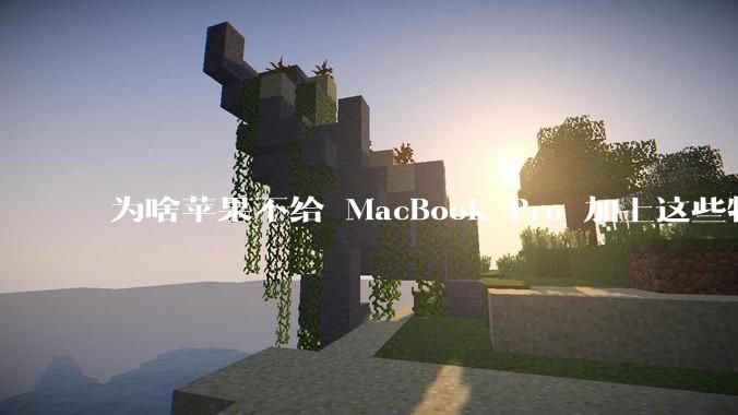 为啥苹果不给 MacBook Pro 加上这些特性？