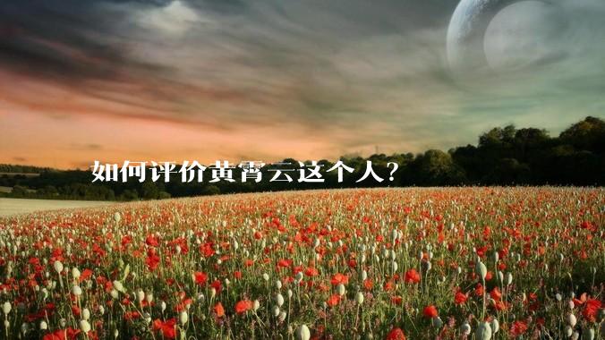 如何评价黄霄云这个人？