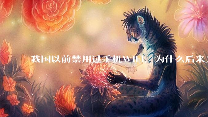 我国以前禁用过手机WIFI，为什么后来又允许了？