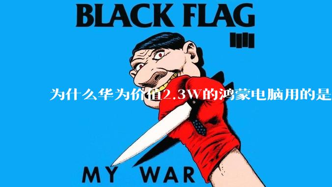为什么华为价值2.3W的鸿蒙电脑用的是美国西数的SN740固态硬盘？