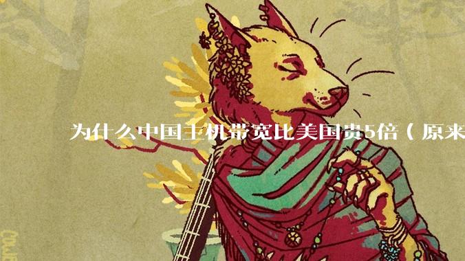 为什么中国主机带宽比美国贵5倍（原来错误的10000倍），比如阿里云？