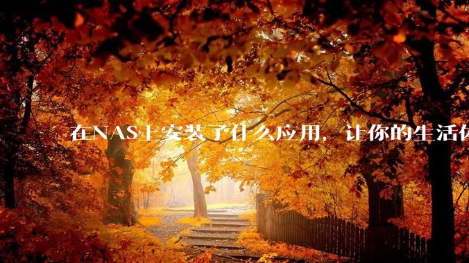 在NAS上安装了什么应用，让你的生活体验有了巨大的提升？