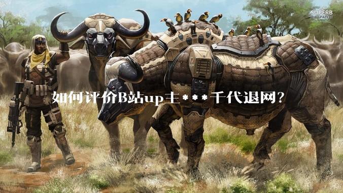 如何评价B站up主***千代退网？